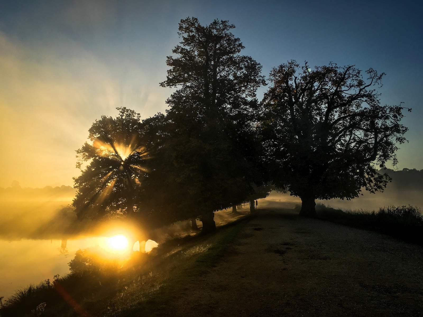 Eerie view, sunrise, light, fo at Richmond Park