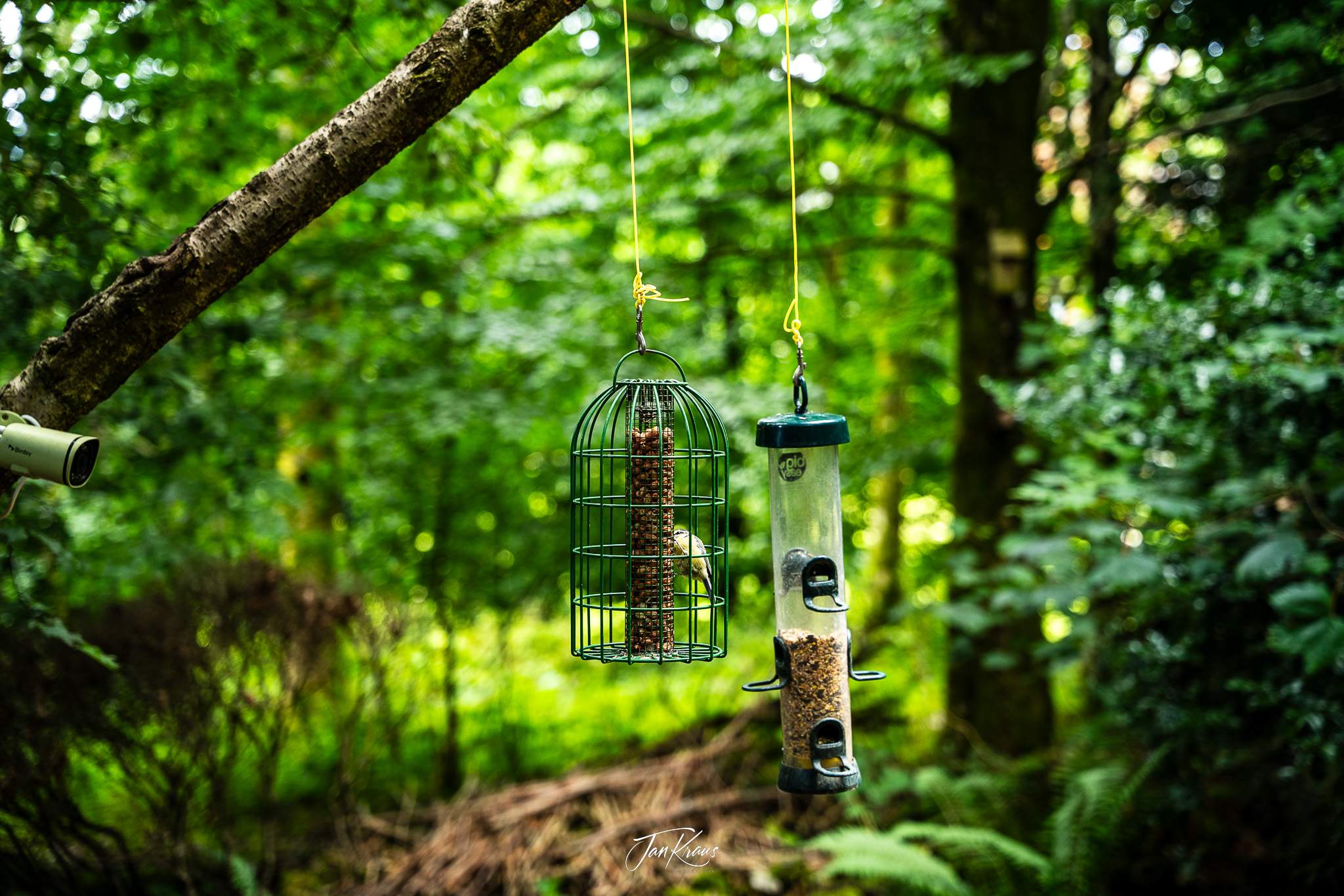 Birdwatching spot at gardens at Brockhole on Windermere, Lake District, England, UK