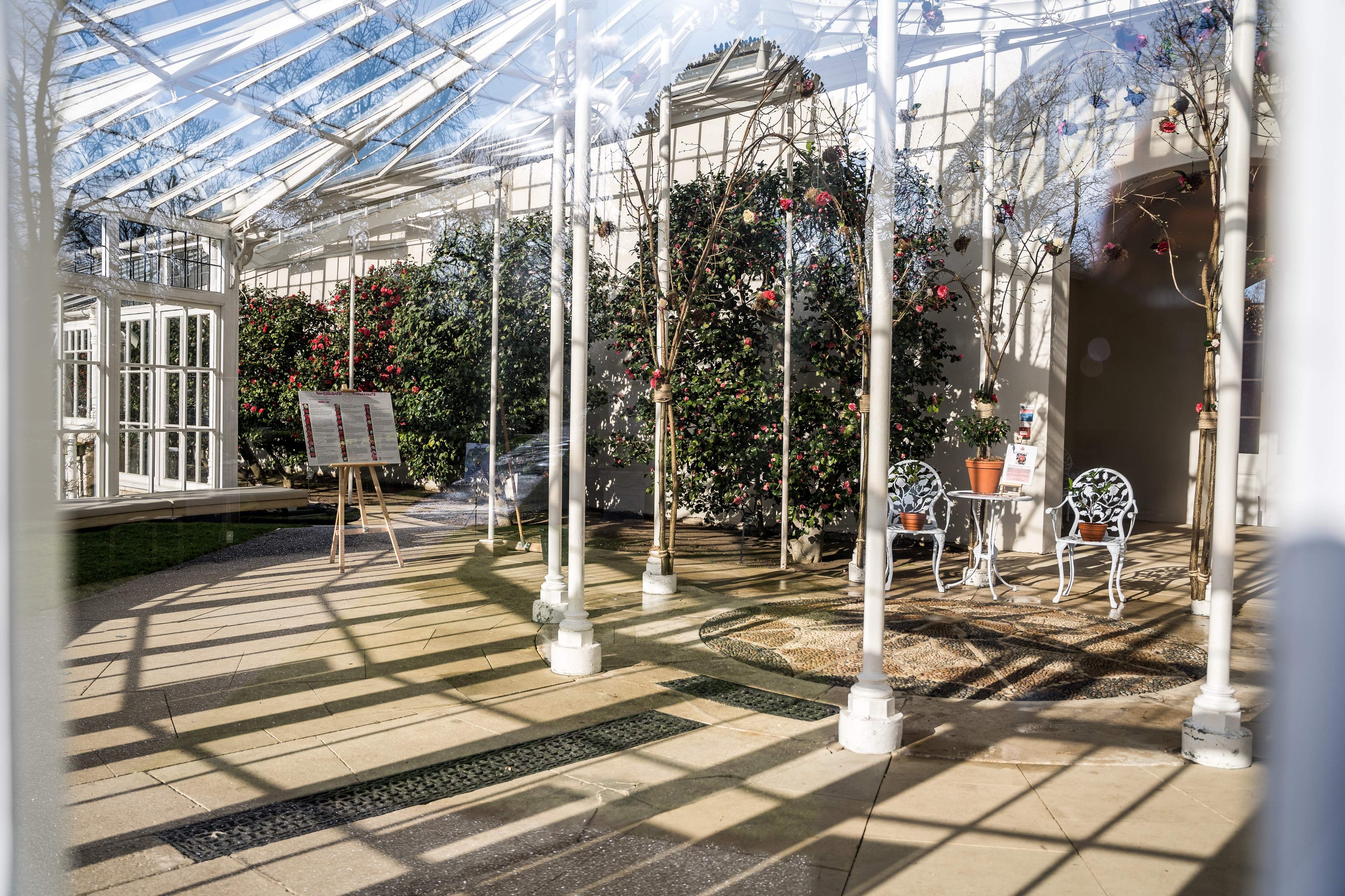 A view into the conservatory featuring Camellia Show, Chiswick Gardens, London, UK