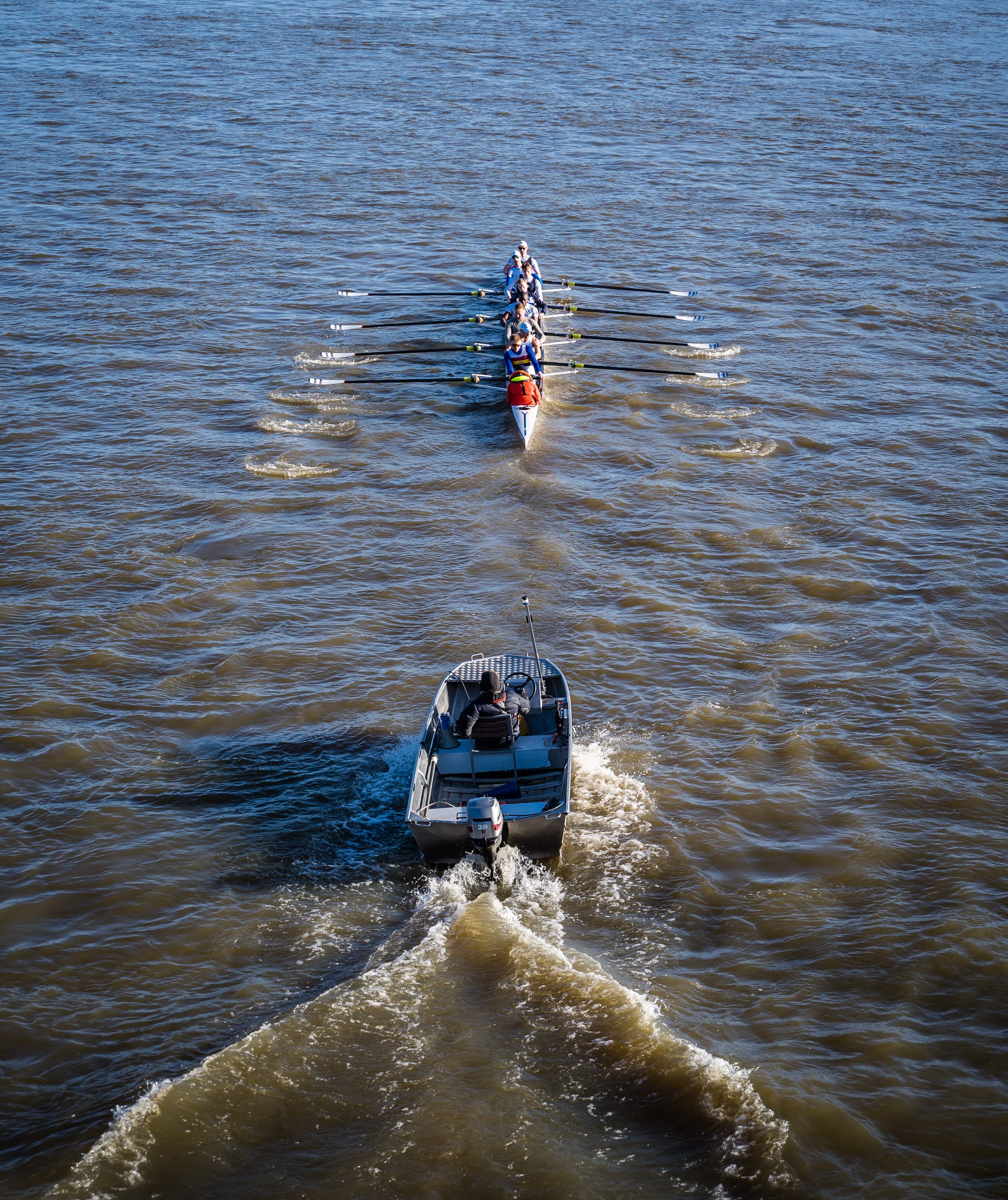 Scullers on the Thames seen from the Barnes Railway Bridge, London, UK