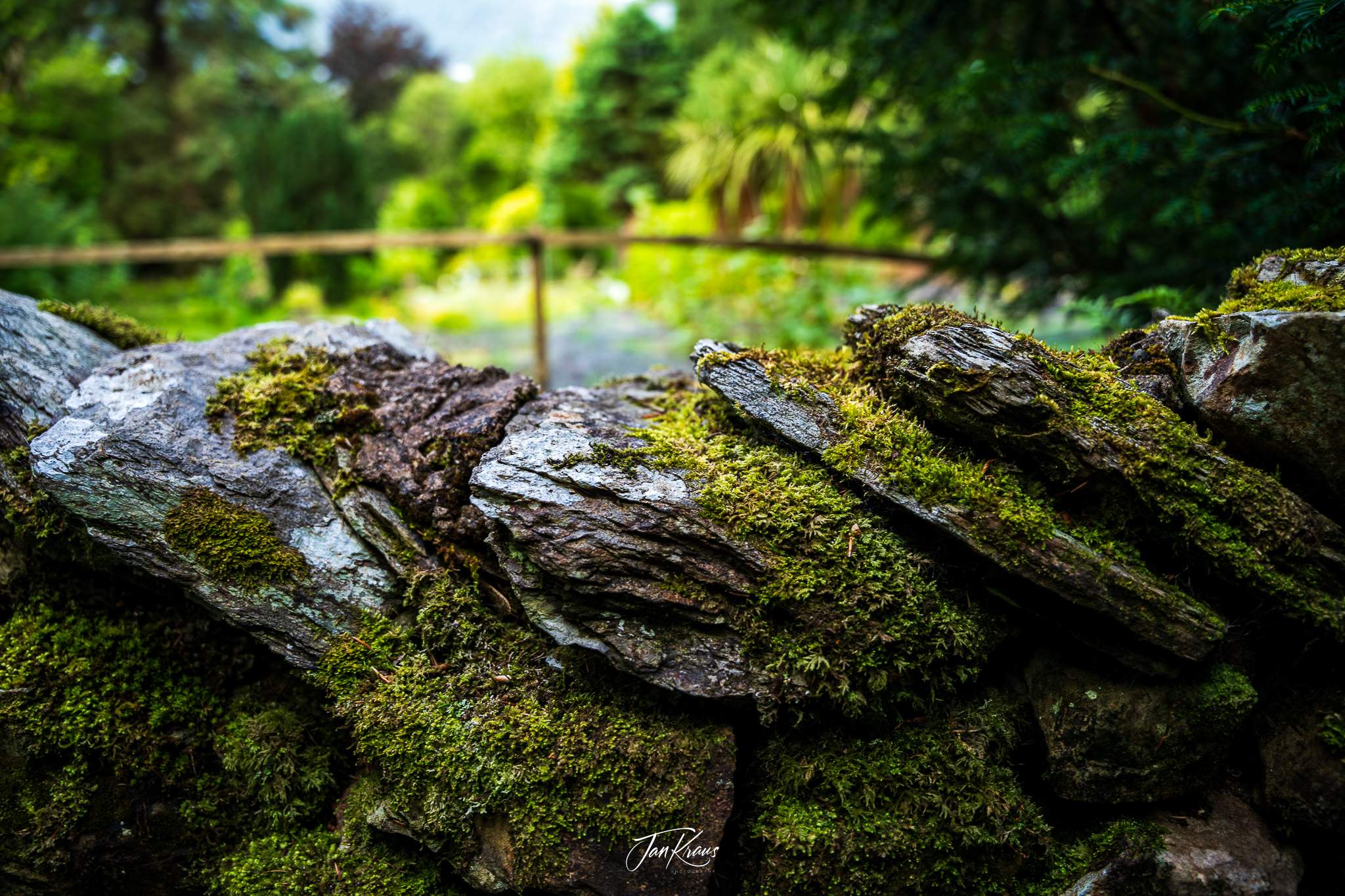 An old stone wall on at Orrest Head walk at Windermere, Lake District, England, UK